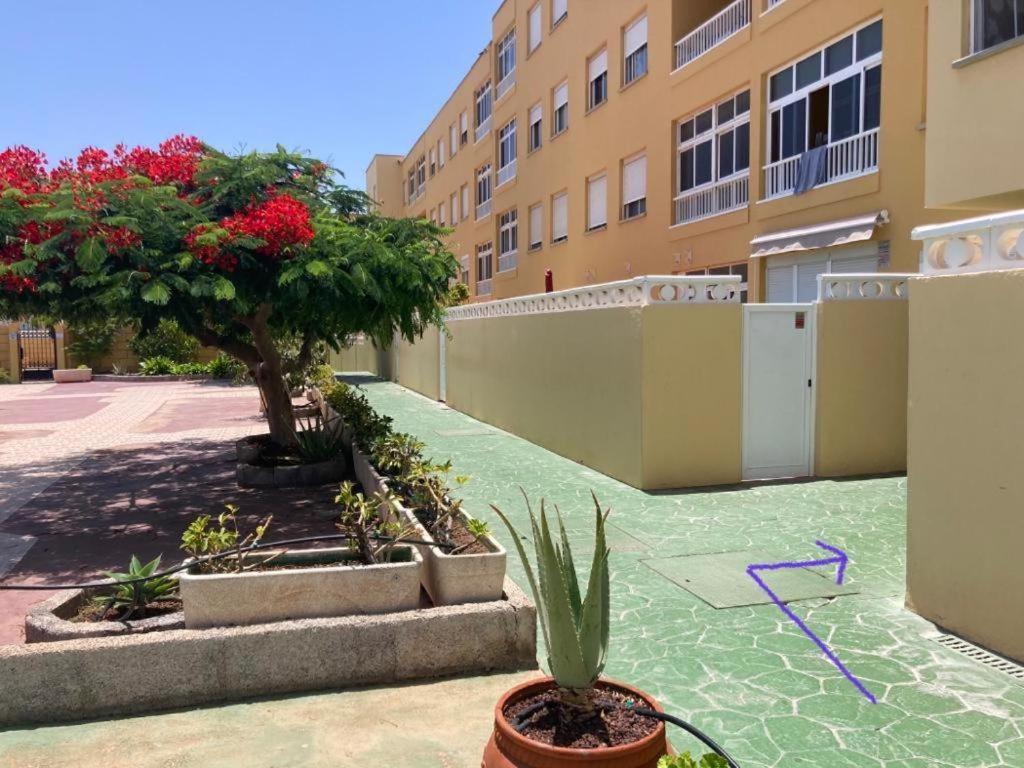 Apartamento Lolo 厄尔梅达诺 外观 照片